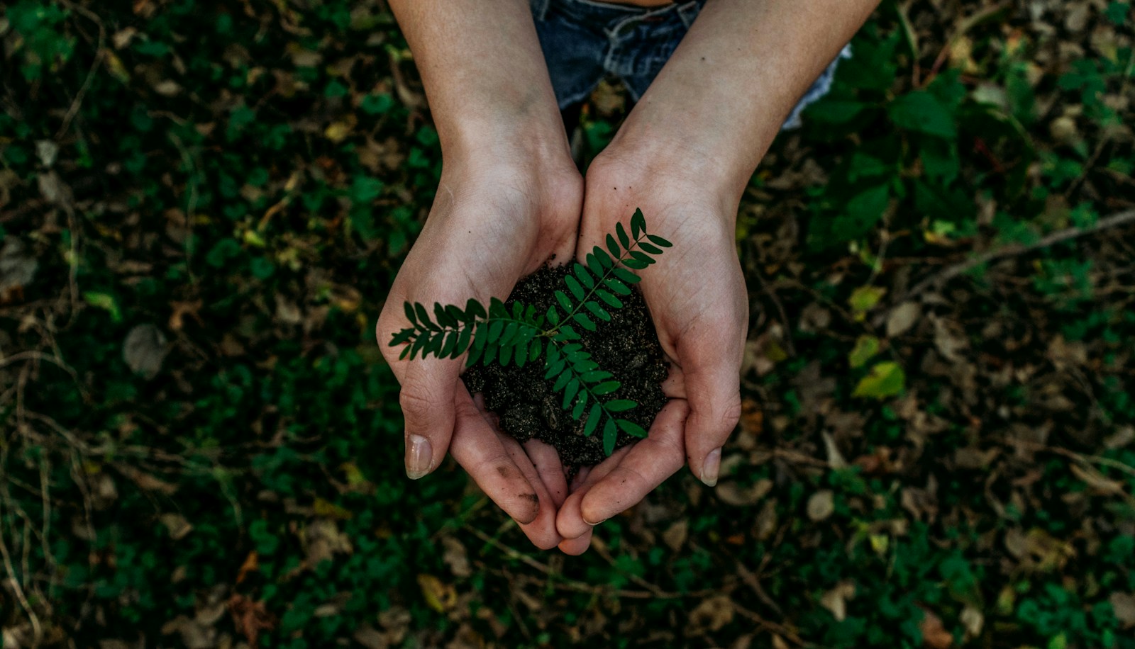 Tipps für einen nachhaltigen und umweltbewussten Lebensstil